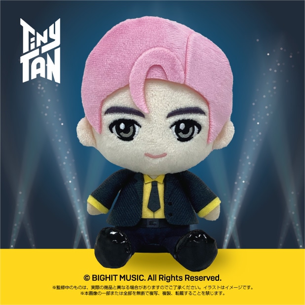 ��TinyTAN�ۤפ�̤���RM