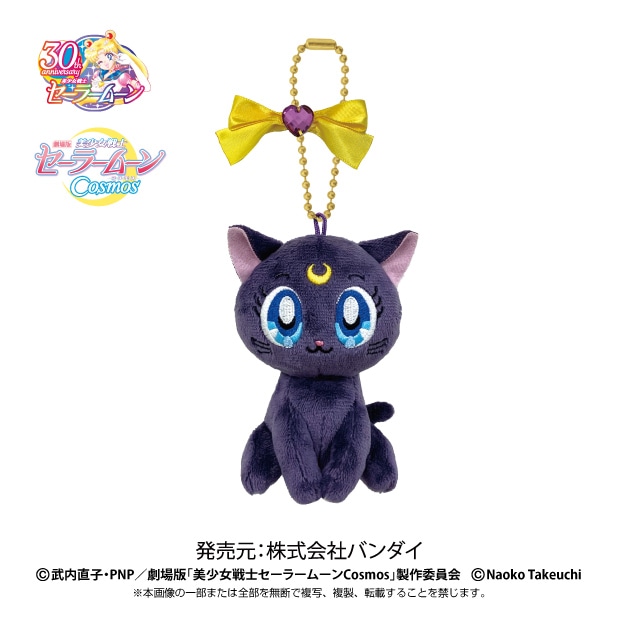 ڷǡΥ顼ࡼCosmosס۷ǡΥ顼ࡼCosmos ܡޥåȡ