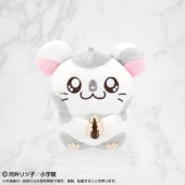 ڤȤäȤϥϺPlayCharm 