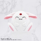 ˡΥ쥤PlayCharm⥳