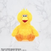 SESAME STREETPlayCharmӥåС