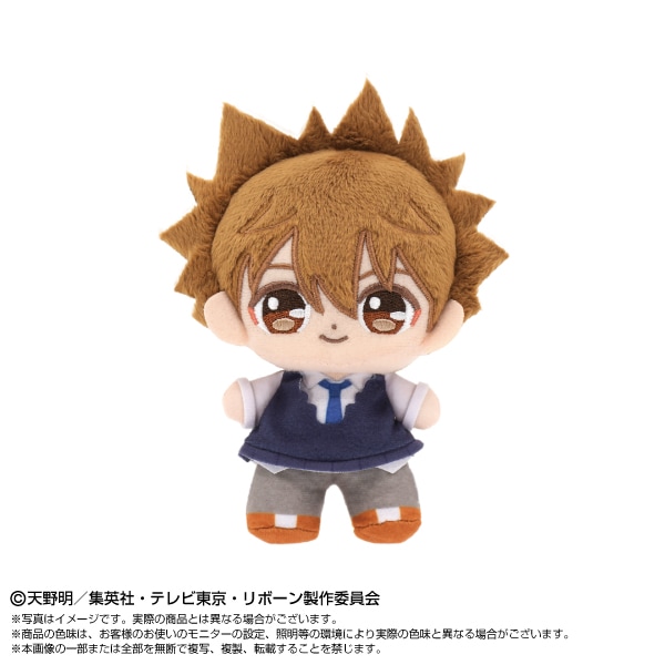 家庭教師ヒットマンREBORN!】ぷりぬいたっちどりーむみに 沢田綱吉