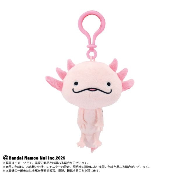 ���缡ȯ������HOLA!!����ޤ�������ۤ����ѡ��ץ졼��ޥ����å�