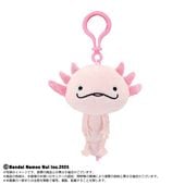 缡ȯHOLA!!ޤۤѡץ졼ޥå