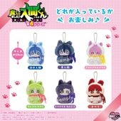 ��ͽ���ʡ�2026ǯ7����ȯ��ͽ���������ޤ��������֤����������ޤ��������֤��� ��4���꡼�� �ĤĤפ졡����ץ꡼��BOX��6���