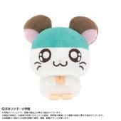 すべての商品 | shopぬい