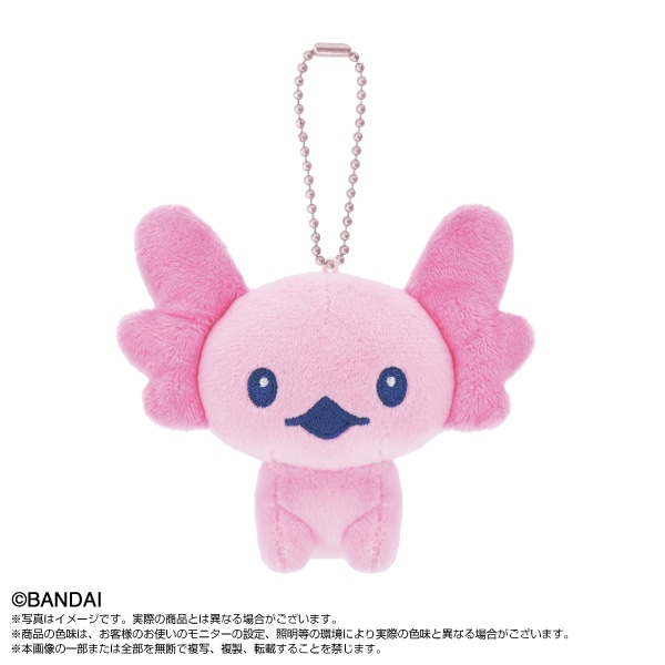 ��ͽ���ʡ�2026ǯ11��ȯ��ͽ��ڤ��ޤ��ä���Tamagotchi Paradise�ޥ����åȡ����ۤ��Ѥä�