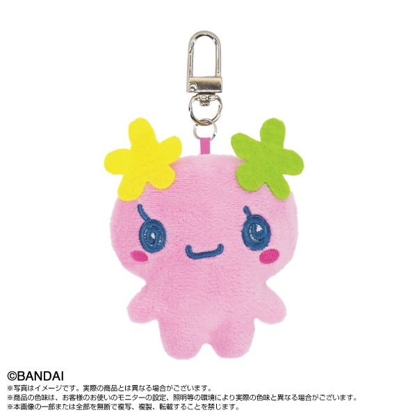 ��ͽ���ʡ�2026ǯ4��ȯ��ͽ��ڤ��ޤ��ä��ۥߥ˥ߥ�Chibi�̤�����ߥޥ����åȡ����ޤ��ä��ѡ��ȣ���BOX  8��