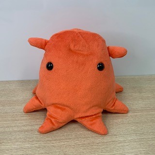 メンダコ ぬいぐるみ M | サンシャイン水族館 online shop