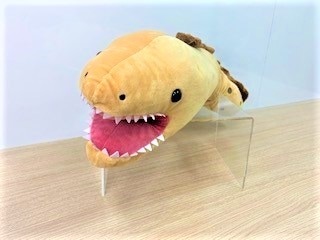 ガブッとウツボ | サンシャイン水族館 online shop
