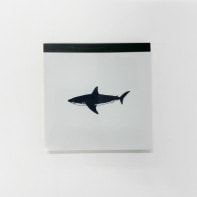 ���ѥåɡ���������������