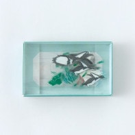 �ȥ��ᥤ�ե졼�������� ��polar