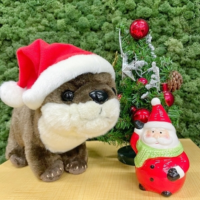 水族館オリジナル】 コツメカワウソぬいぐるみ クリスマスver