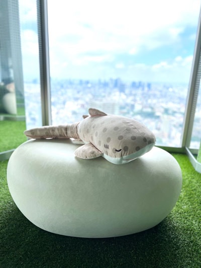 水族館オリジナル】 かむかむズ トラフザメ | サンシャイン水族館