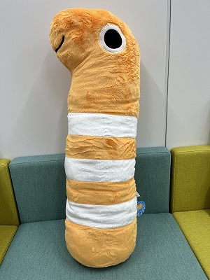 ニシキアナゴ抱き枕 XL | サンシャイン水族館 online shop