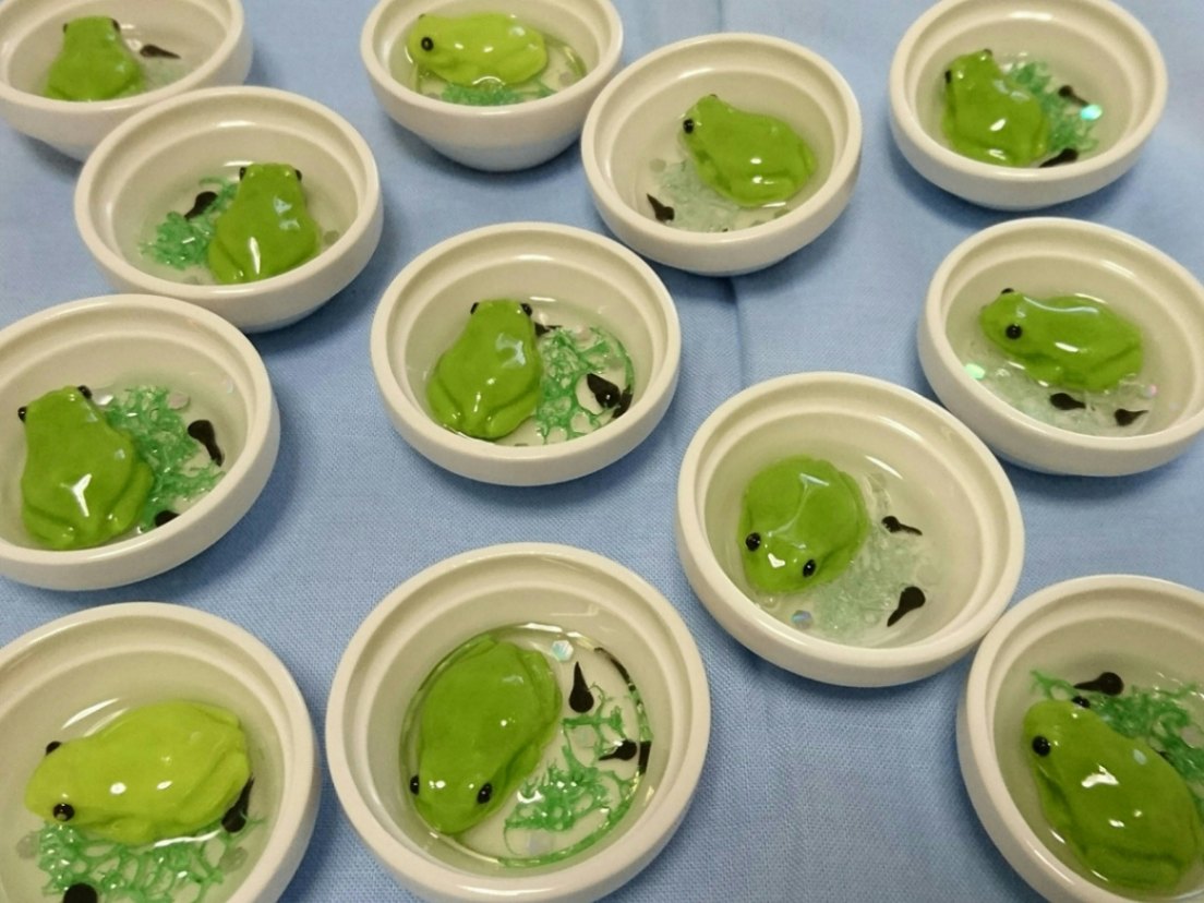 【No.205】ꫛꫀꪝ✧‧˚ カエル～クールビューティ～ マグネット magnet / マグネット マグネット ヤドクガエル（青） – ニコノマニマニ