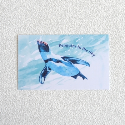 天空のケープペンギン メッセージカード（10枚入り） | サンシャイン