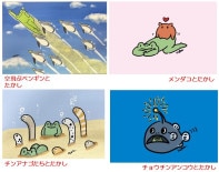 すべての商品 | サンシャイン水族館 online shop