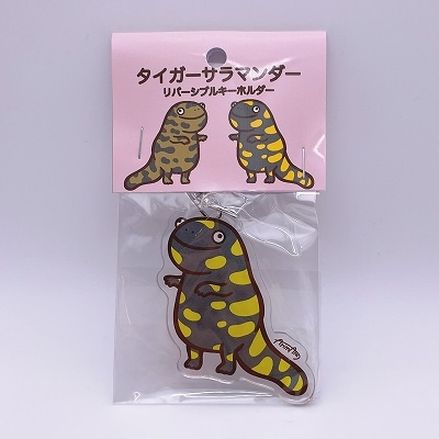 タイガーサラマンダーキーホルダー | サンシャイン水族館 online shop