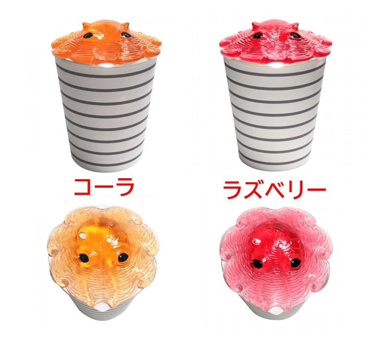 メンダコ!ページです。 カップメンダコ クリア（各種） | サンシャイン水族館 online shop