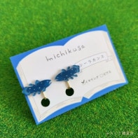 �����饫�󥹤Υ����󥰡��ԥ���