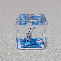 ���󥢥ʥ��ߥ���ʪ