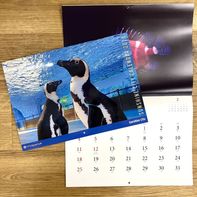 �ڿ�²�۸���ۡ�2026ǯ���ꥸ�ʥ륫������