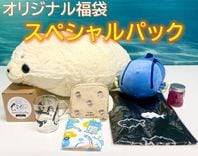 �ڿ�²�۸���ۡ����󥷥㥤���²�ۡ����ꥸ�ʥ�ʡ��2026�����ڥ����ѥå�