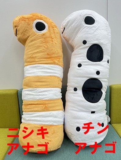 キイロイトリ アクアリウム てのりぬいぐるみ チンアナゴ 水族館　未開封 Amazon.co.jp: チンアナゴ ぬいぐるみ 京都水族館 : おもちゃ