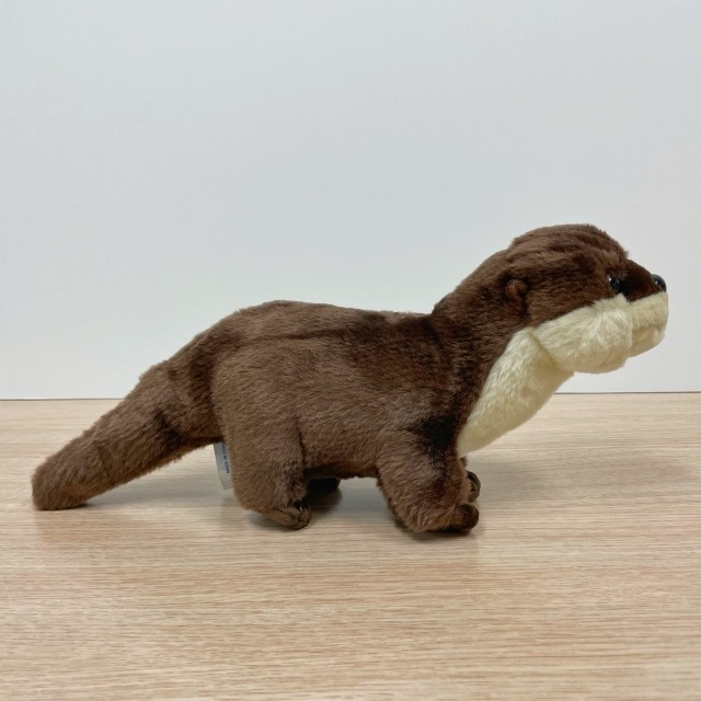 水族館オリジナル】 コツメカワウソぬいぐるみ | サンシャイン