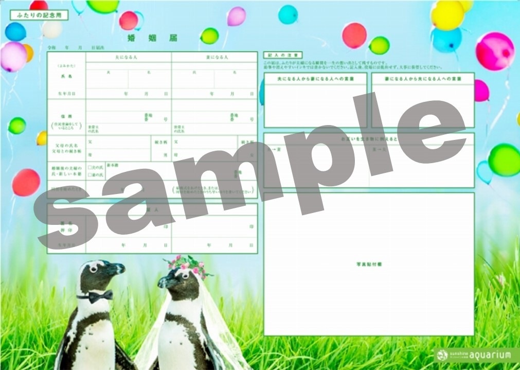 ڿ²ۥꥸʥۡڥ󥮥󺧰ϡ