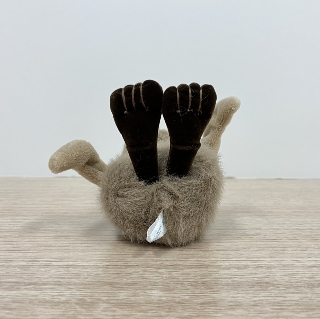 �ڿ�²�ۥ��ꥸ�ʥ�ۡ������ץڥ󥮥��֤����̤������