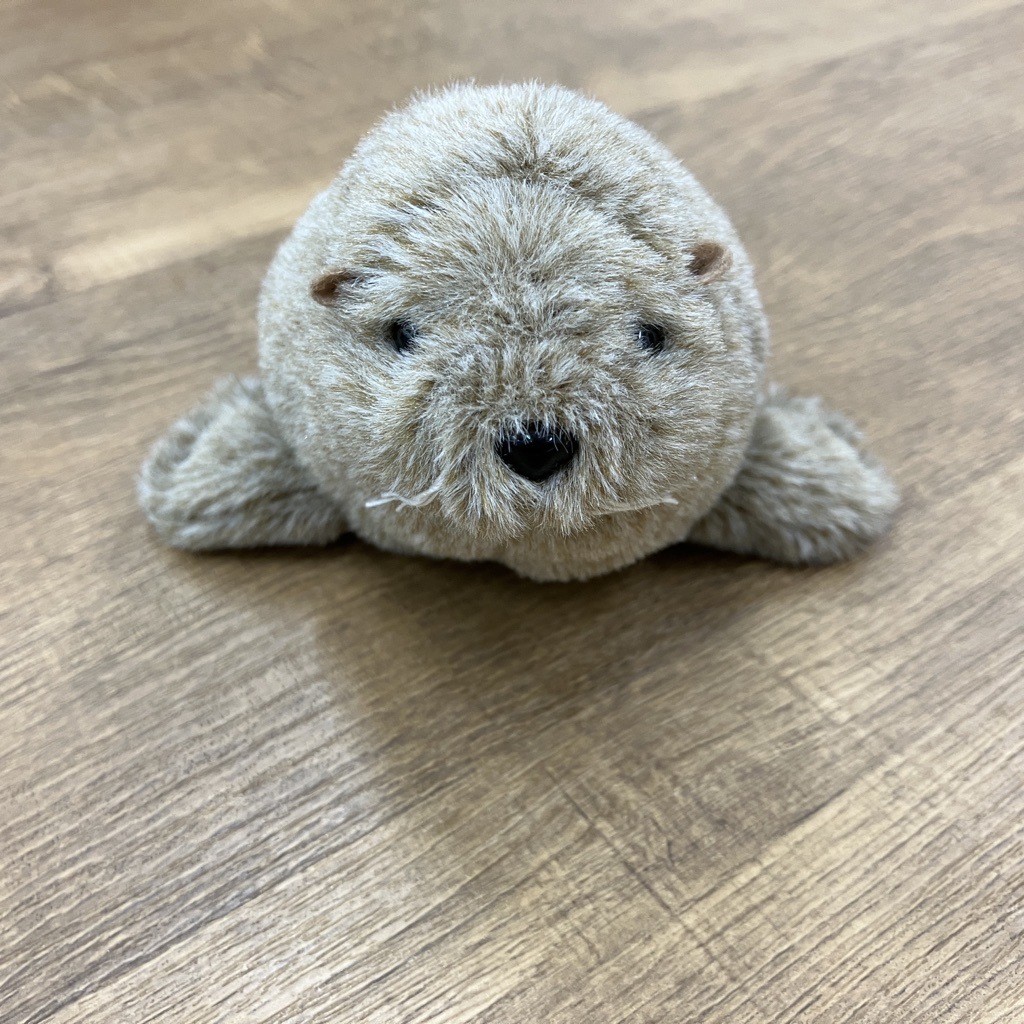 サンシャイン水族館オリジナル】ぽちゃまるアシカ | サンシャイン