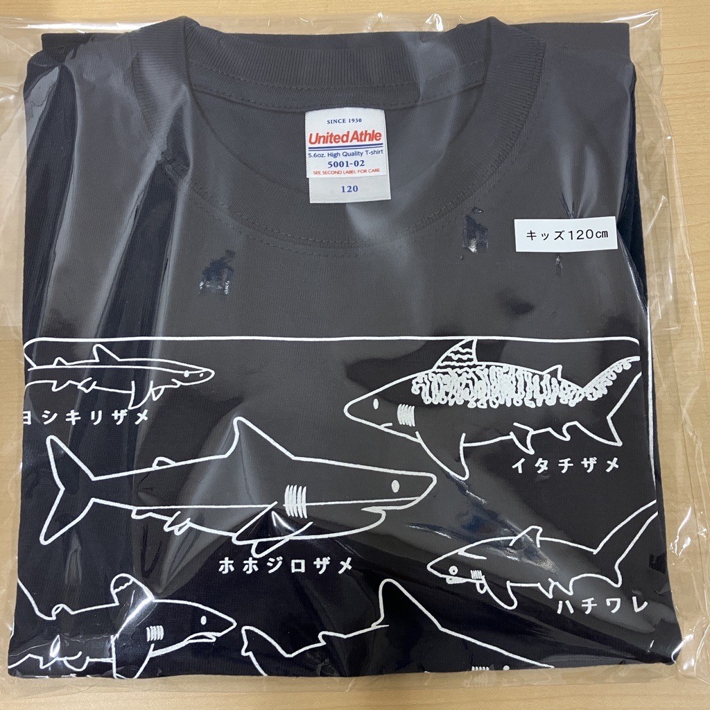 ����T2 (���å�������120cm)