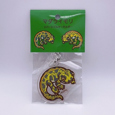 マダライモリキーホルダー | サンシャイン水族館 online shop