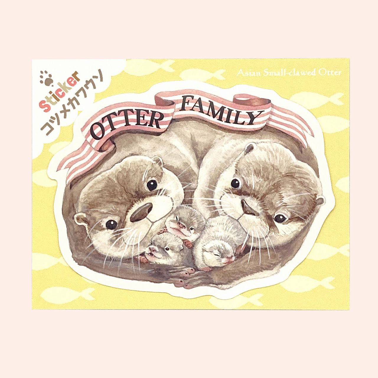 ���ĥᥫ�復���β�²���ƥå���