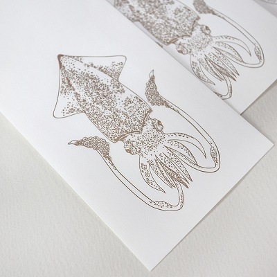 ���Ǥݤ��ޡ���ˡ�����������