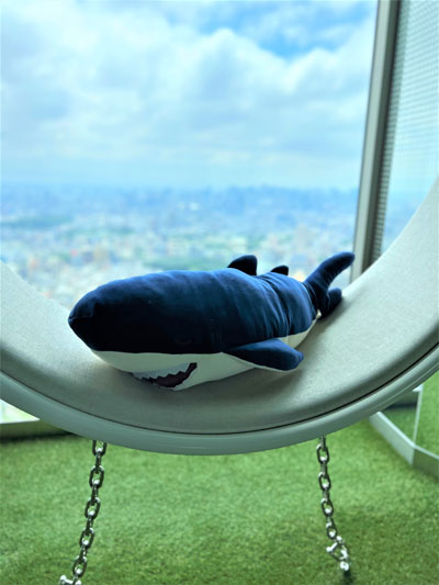 ���फ�ॺ ���å�