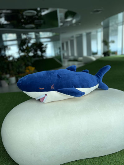 ���फ�ॺ ���å�