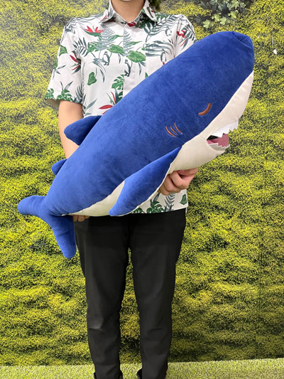 ���फ�ॺ ���å�