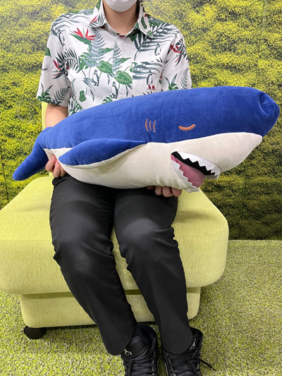 ���फ�ॺ ���å�