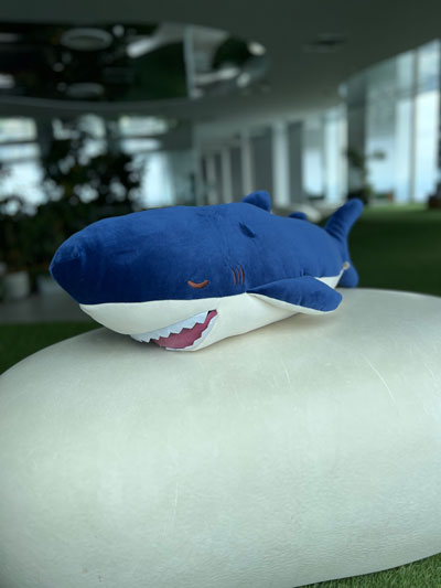 ���फ�ॺ ���å�