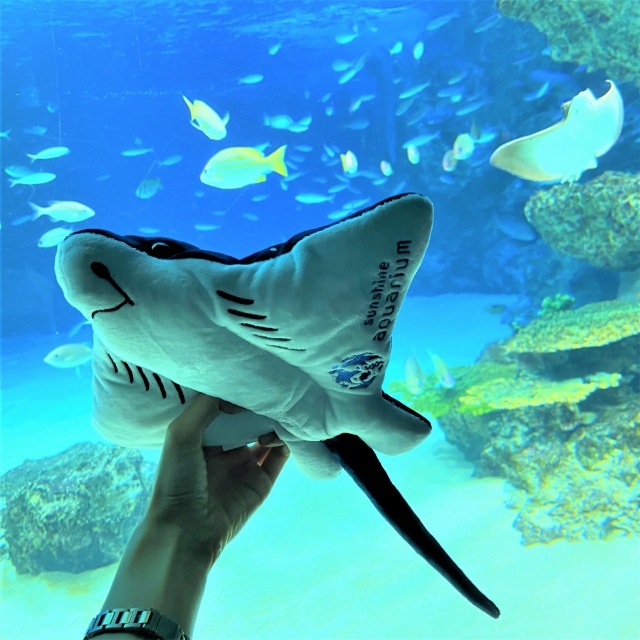 �ڿ�²�ۥ��ꥸ�ʥ�ۡ��ޥ���ȥӥ������̤������