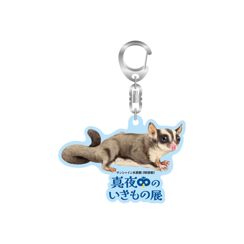 ڿ²ۥꥸʥۿΤŸ륭ۥ(٤ޤ)