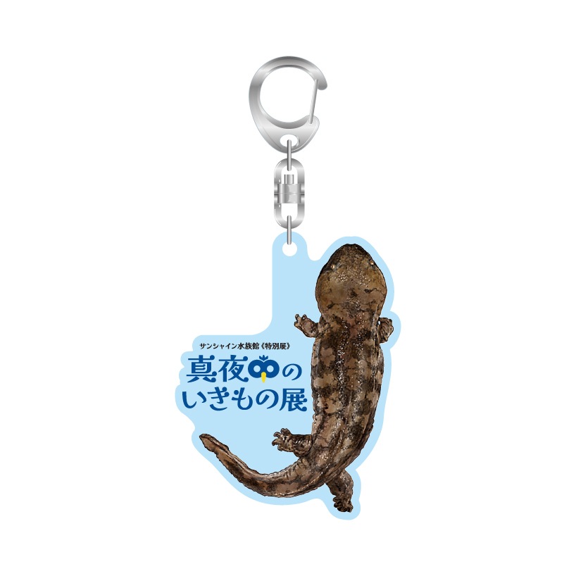 ڿ²ۥꥸʥۿΤŸ륭ۥ(٤ޤ)