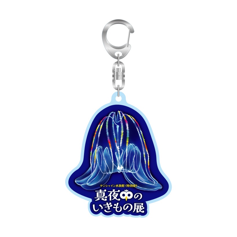 ڿ²ۥꥸʥۿΤŸ륭ۥ(٤ޤ)