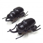 ���륫�֥ȥॷ&���塞�� 25�ĥ��å�