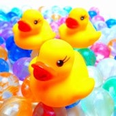 �����������ҥ� 50�ĥ��å�