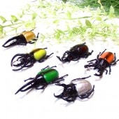 ����פ���ץꥢ�뺫������ 25�ĥ��å�