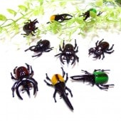 ����פ���ץꥢ�뺫��ʾ��� 50�ĥ��å�